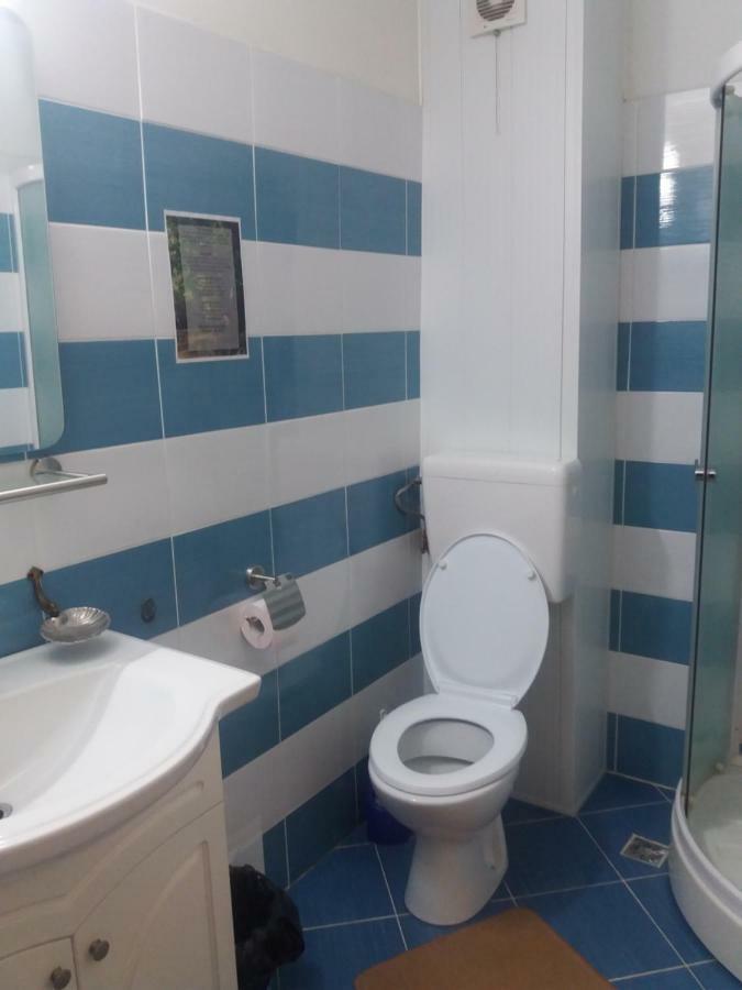Pensiunea Paradis Vrancean Cotesti  ภายนอก รูปภาพ